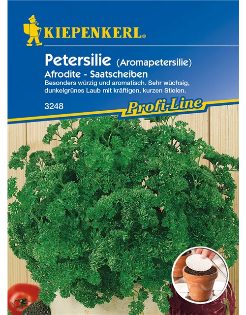 Krause Petersilie 'Aphrodite'