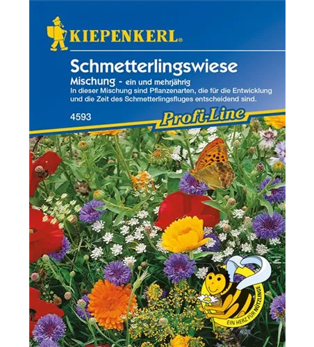 Schmetterlingsweide