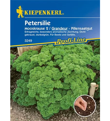 Krause Petersilie 'Grandeur'