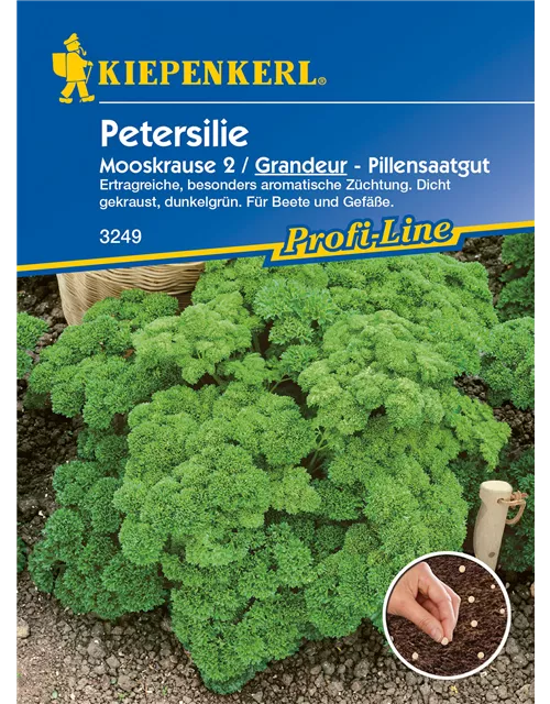 Krause Petersilie 'Grandeur'