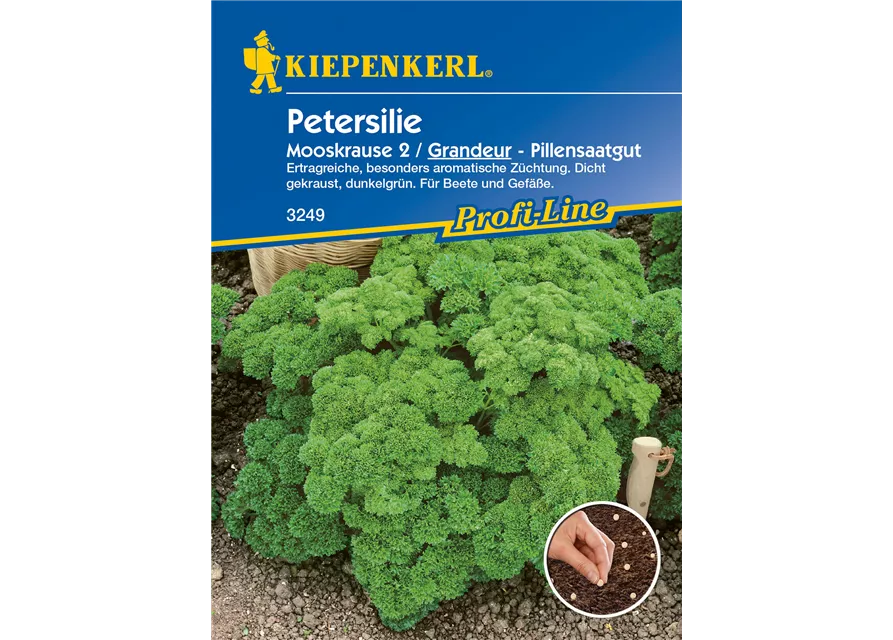 Krause Petersilie 'Grandeur'