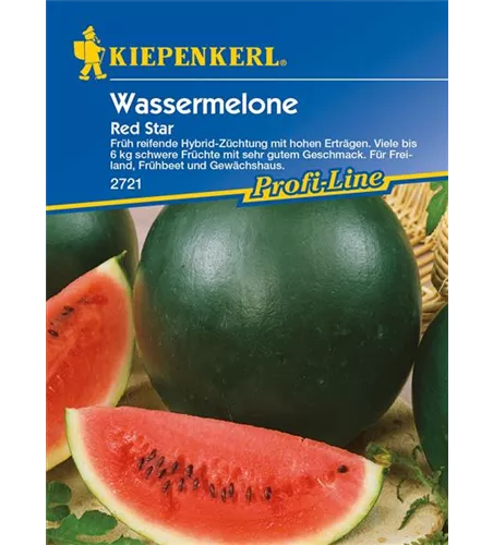 Wassermelone 'Red Star'