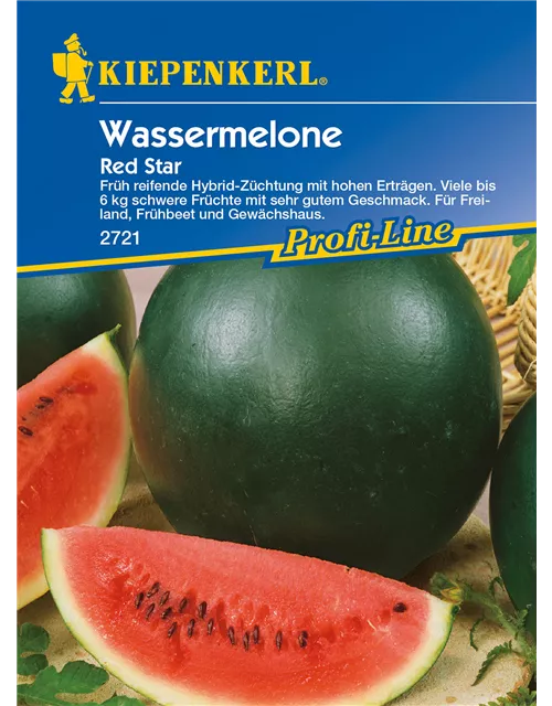 Wassermelone 'Red Star'