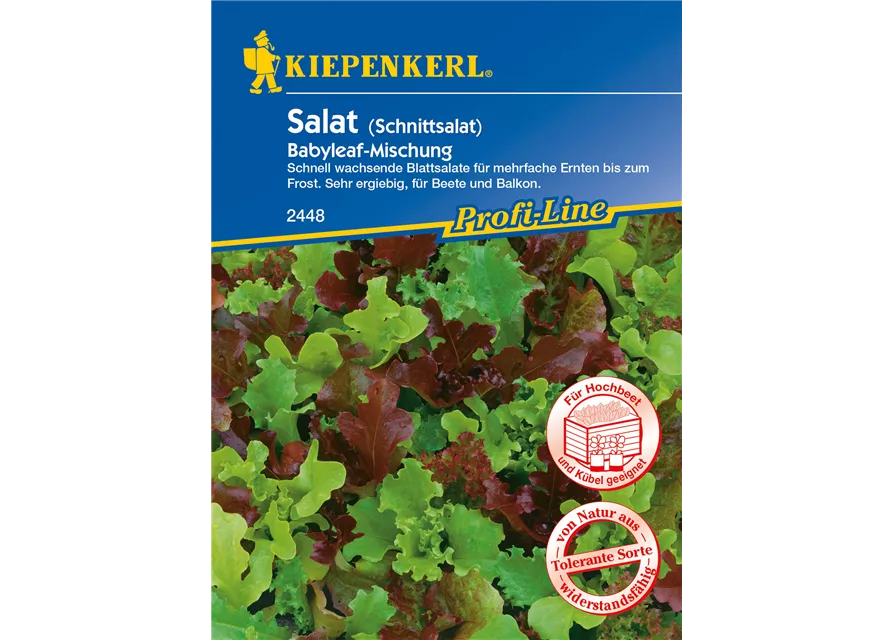 Babyleaf-Salat