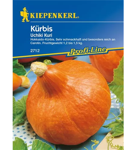 Kürbis 'Uchiki Kuri'