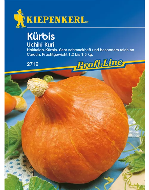 Kürbis 'Uchiki Kuri'