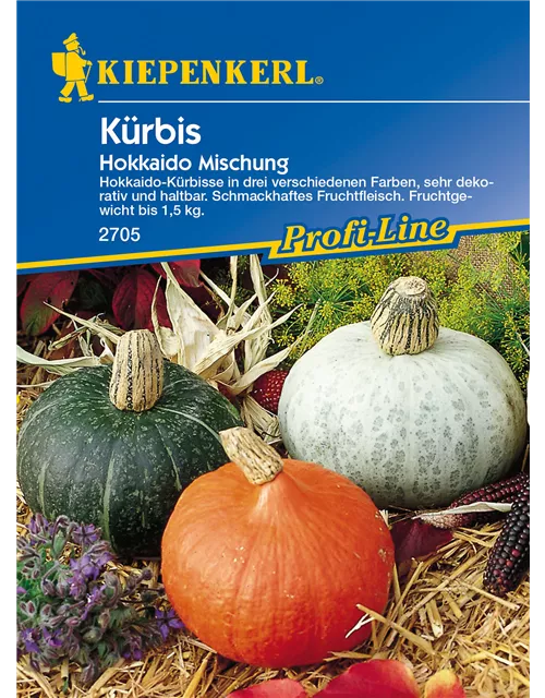 Kürbis 'Hokkaido'