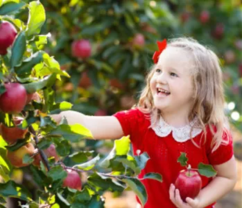 OBSTGARTEN FÜR KINDER