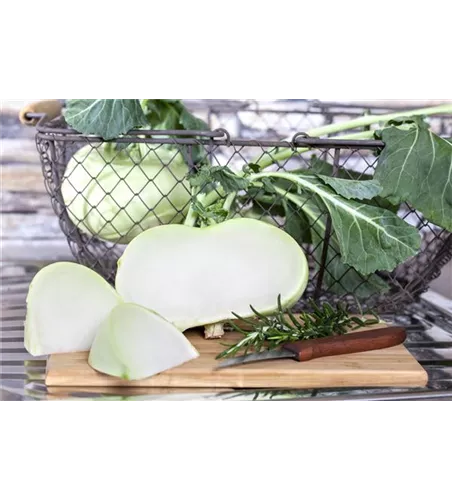 Kohlrabi 'Superschmelz'