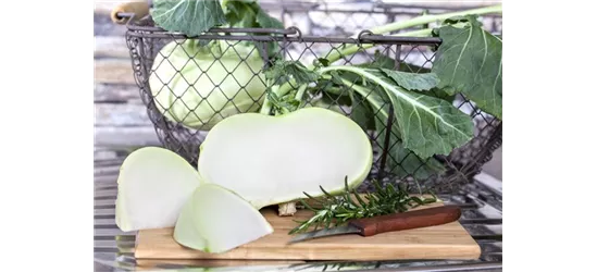 Kohlrabi 'Superschmelz'