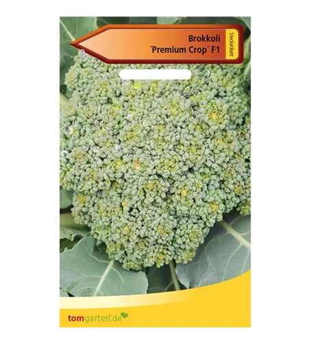 Broccoli 'Premium Crop F1'