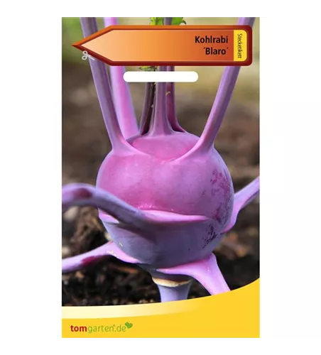 Kohlrabi 'Blaro'