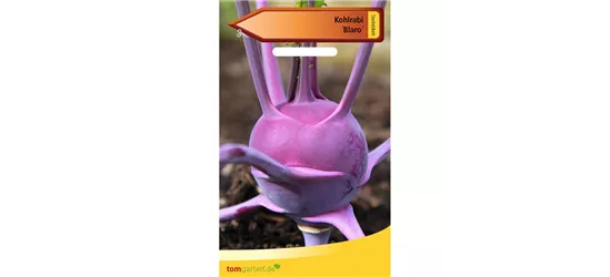 Kohlrabi 'Blaro'