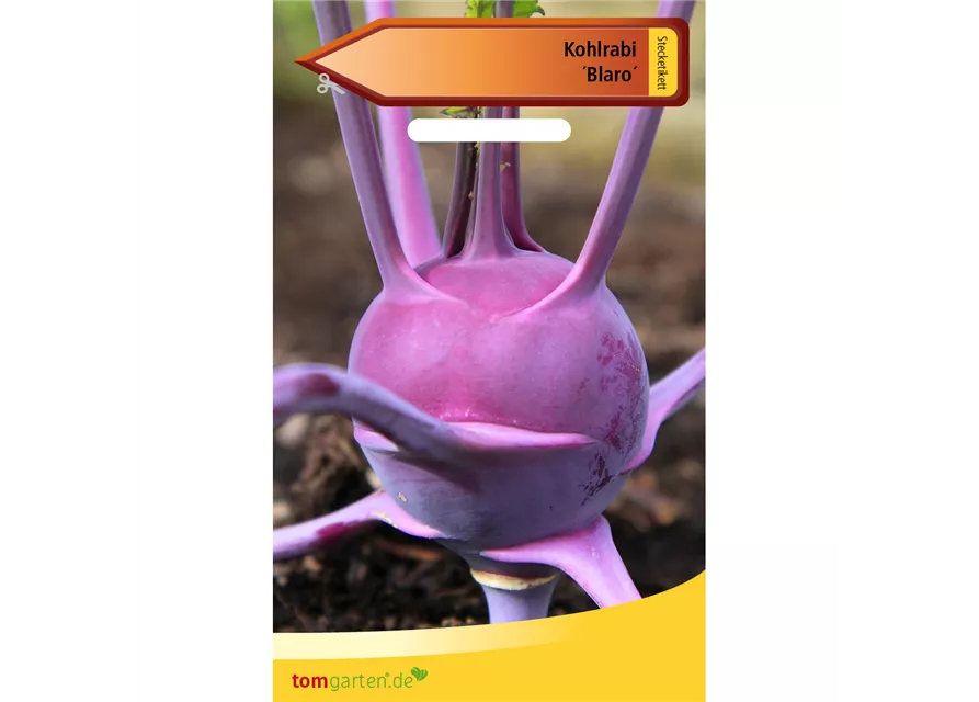 Kohlrabi 'Blaro'