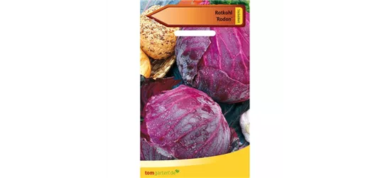 Rotkohl 'Rodon'