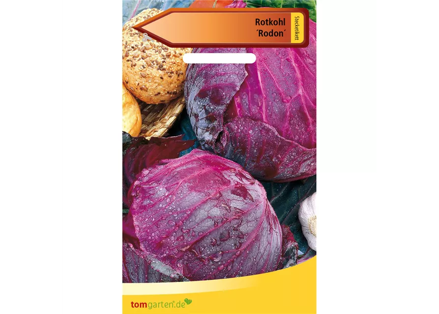 Rotkohl 'Rodon'