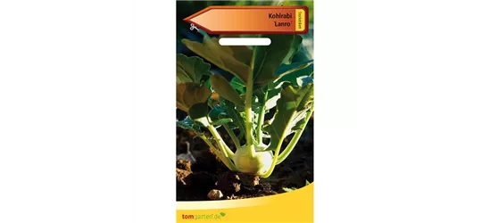 Kohlrabi 'Lanro'