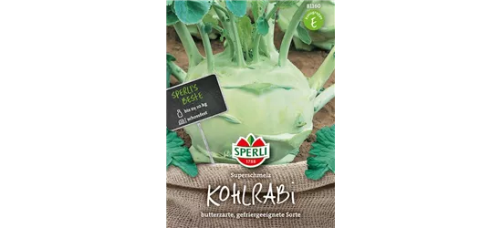 Kohlrabi 'Superschmelz'