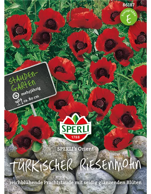 Türkischer Riesenmohn 'Orient'