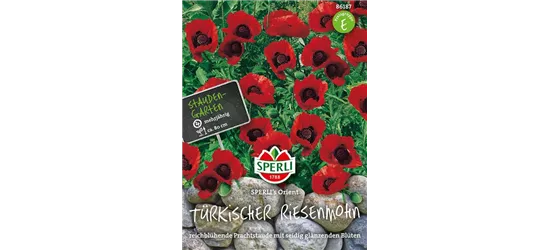 Türkischer Riesenmohn 'Orient'