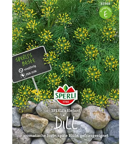 Dill 'Elefant'