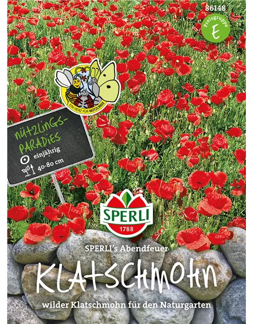 Klatsch-Mohn 'Abendfeuer'