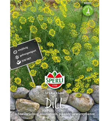 Dill 'Liso'