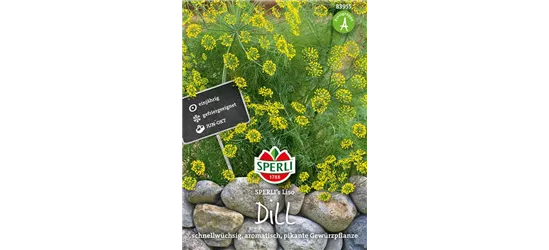 Dill 'Liso'