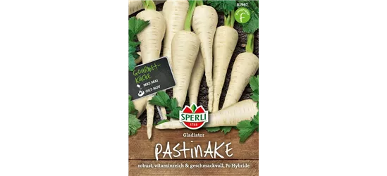 Pastinake 'Gladiator F1'