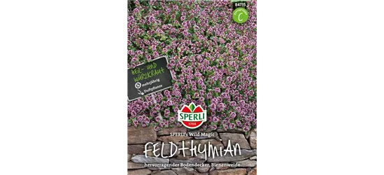 Feldthymian 'Wild Magic'