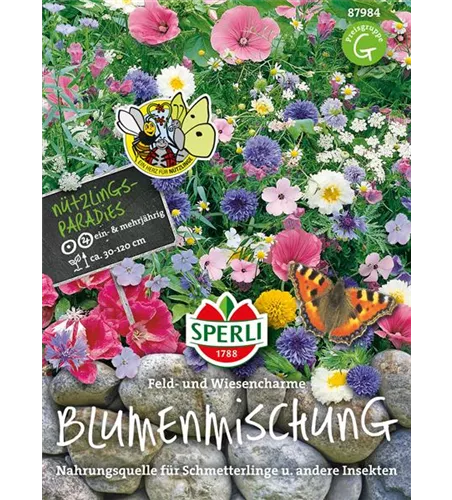 Blumenmischung 'Feld- und Wiesencharme'