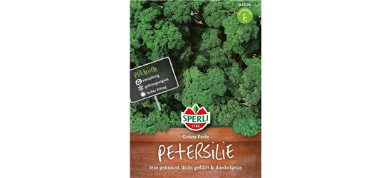 Krause Petersilie 'Grüne Perle'