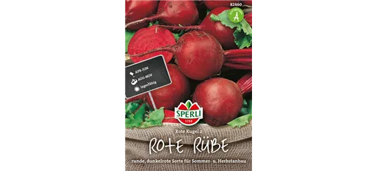 Rote Beete 'Rote Kugel 2'