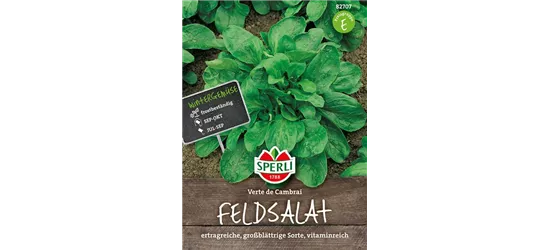 Feldsalat 'Verte de Cambrai'