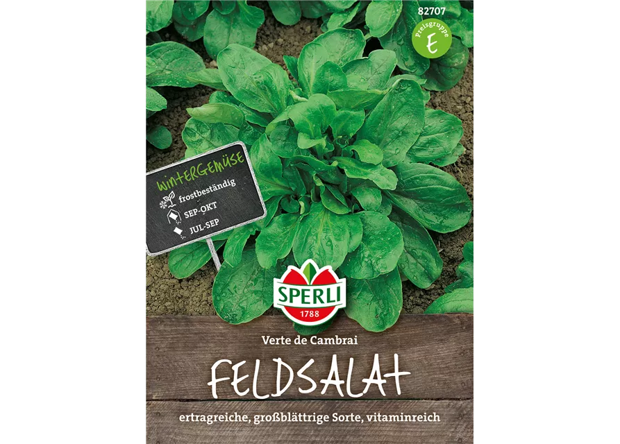 Feldsalat 'Verte de Cambrai'