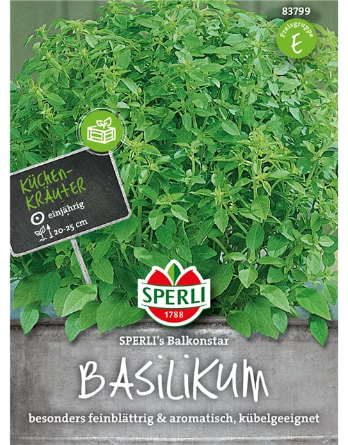 Garten-Basilikum 'Balkonstar'