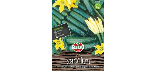 Zucchini 'Leila F1'