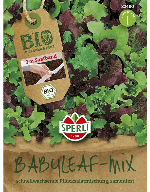 Babyleaf-Salat