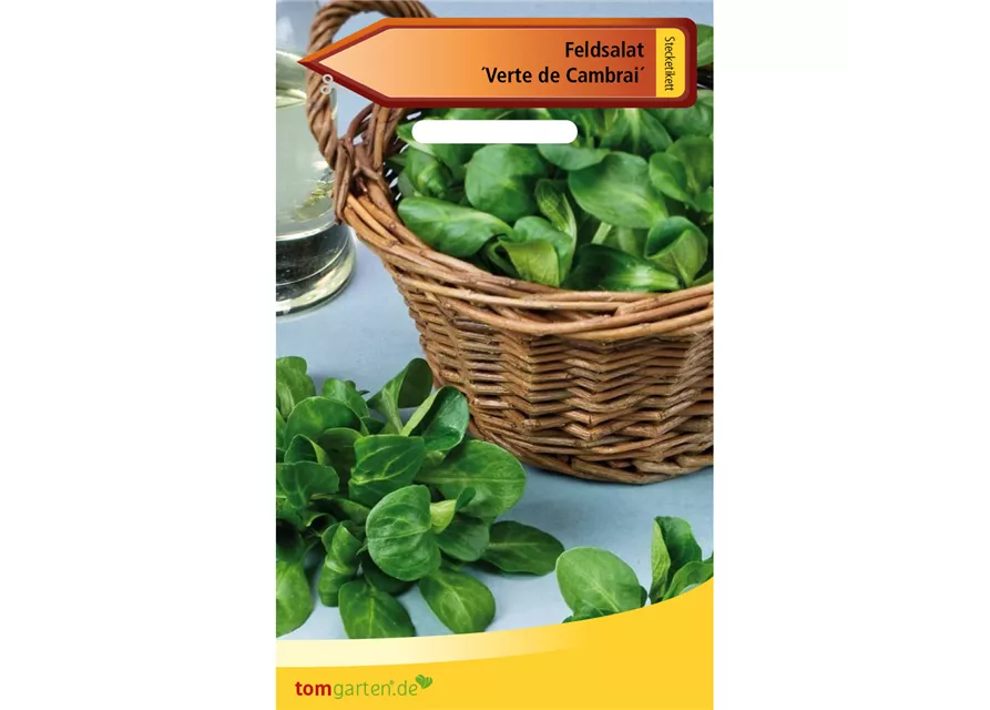 Feldsalat 'Verte de Cambrai'