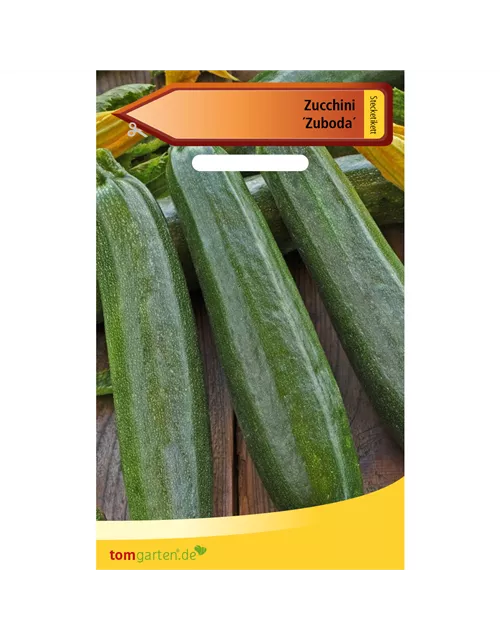 Zucchini 'Zuboda'