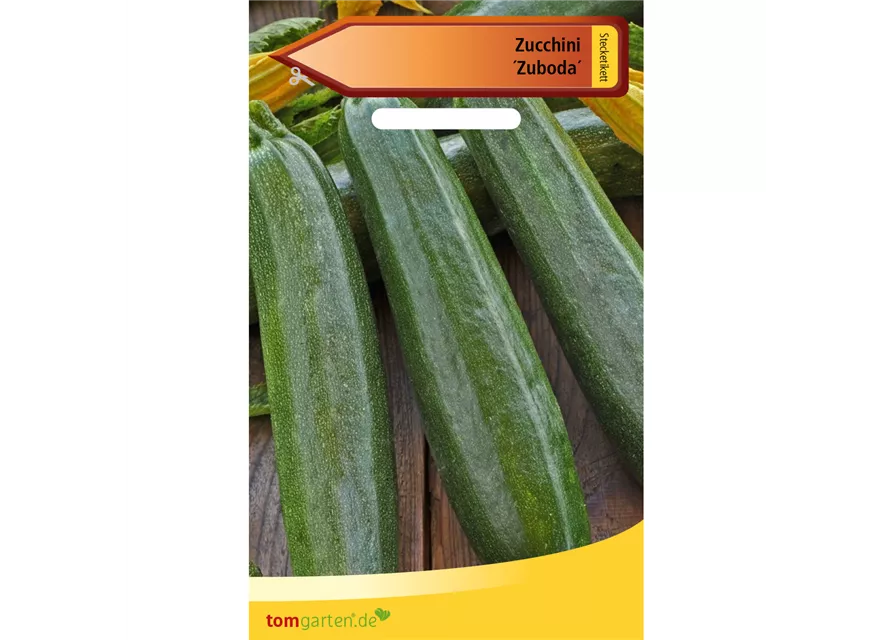 Zucchini 'Zuboda'