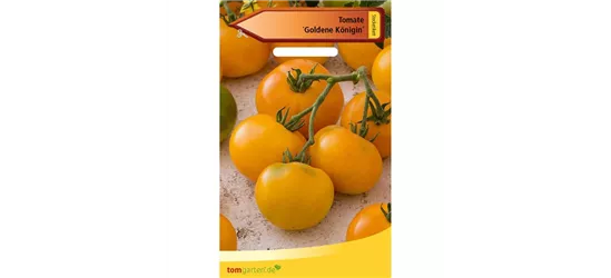 Tomate 'Goldene Königin'