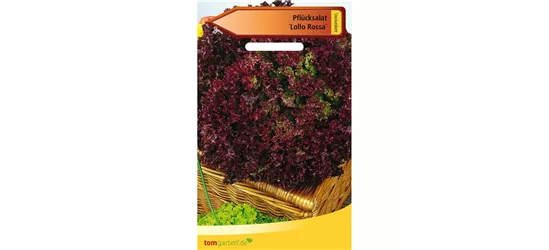 Pflücksalat 'Lollo rosso'