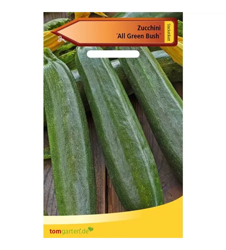 Zucchini 'All Green Bush'