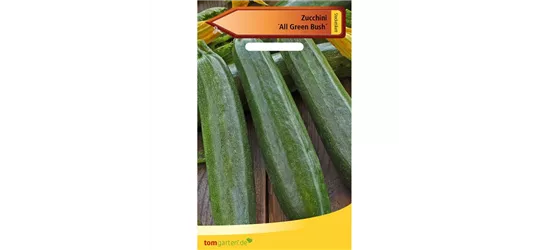 Zucchini 'All Green Bush'