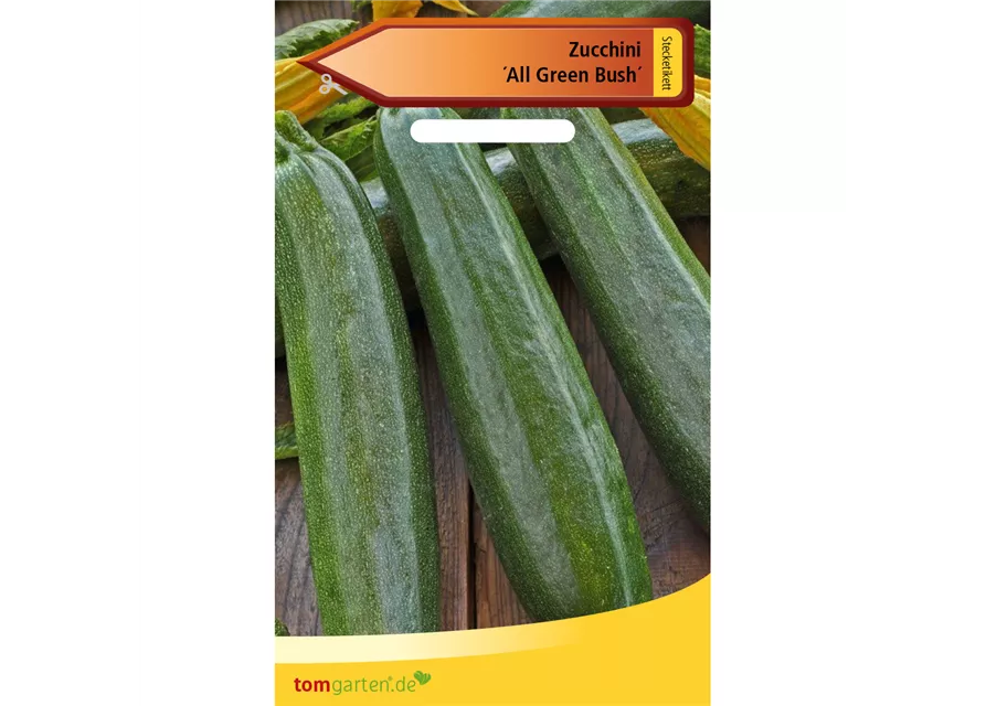 Zucchini 'All Green Bush'