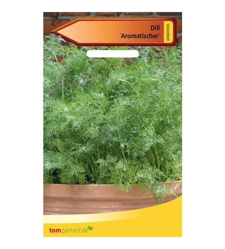 Dill 'Aromatischer'