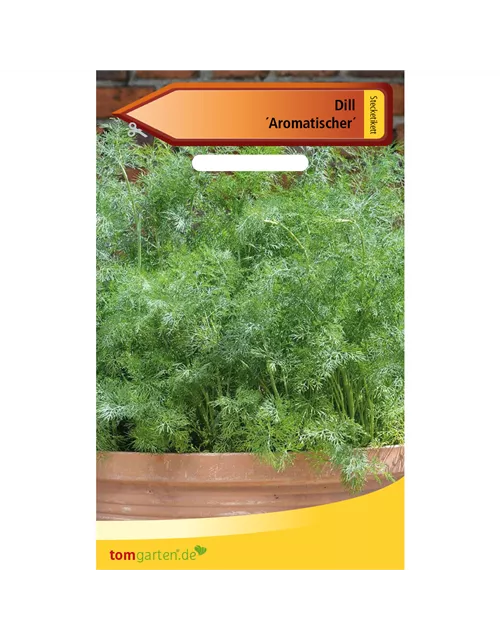 Dill 'Aromatischer'