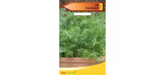 Dill 'Aromatischer'