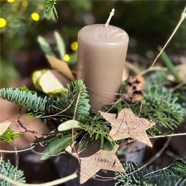 DIY-Workshop Adventskranz binden 